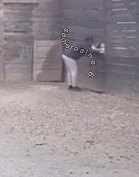 Screenshot 2025-03-01 093539.png