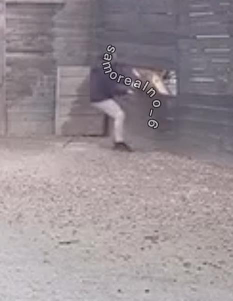 Screenshot 2025-03-01 093458.png