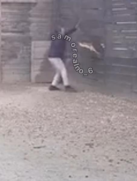 Screenshot 2025-03-01 093452.png