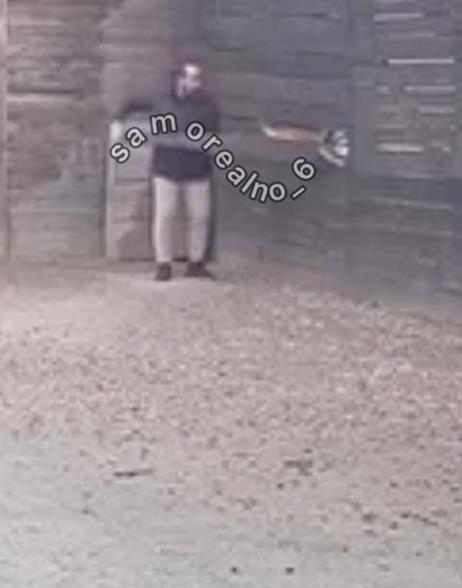 Screenshot 2025-03-01 093445.png