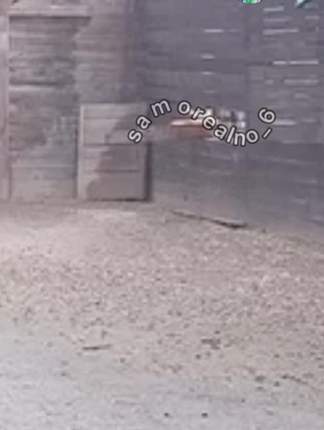 Screenshot 2025-03-01 093417.png