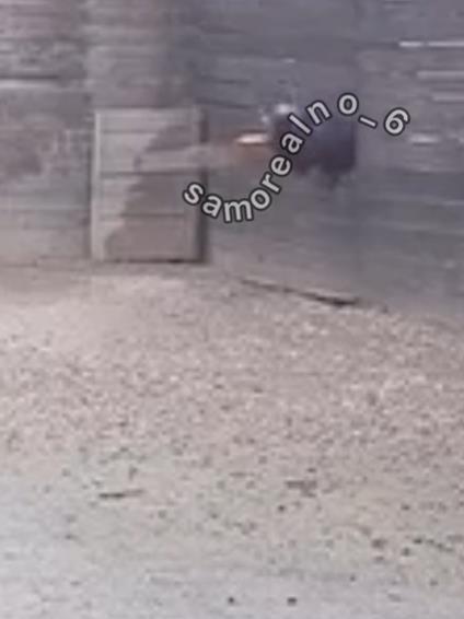 Screenshot 2025-03-01 093414.png