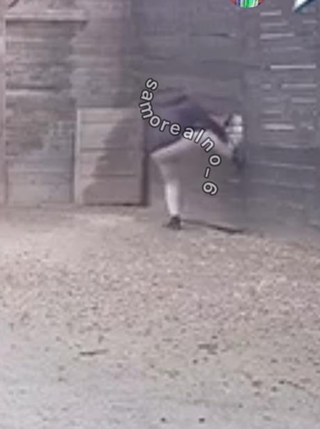 Screenshot 2025-03-01 093406.png