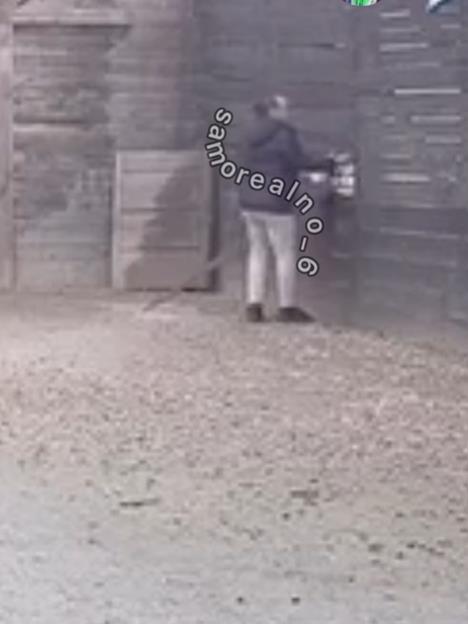 Screenshot 2025-03-01 093359.png