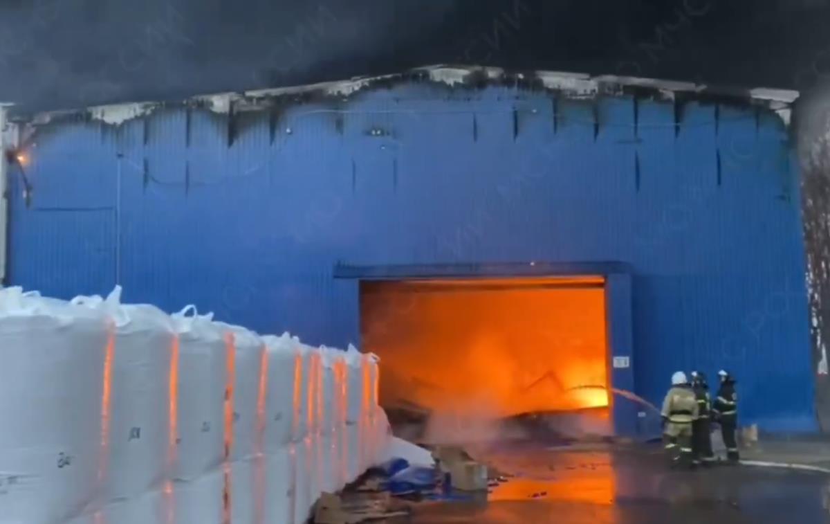 Screenshot 2025-03-02 081828.png