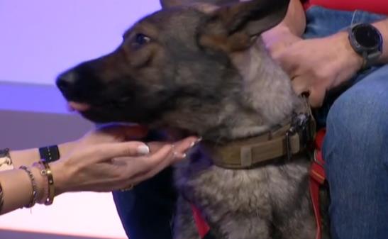 Screenshot 2025-03-04 175329.jpg