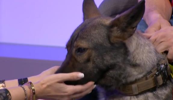 Screenshot 2025-03-04 175434.png