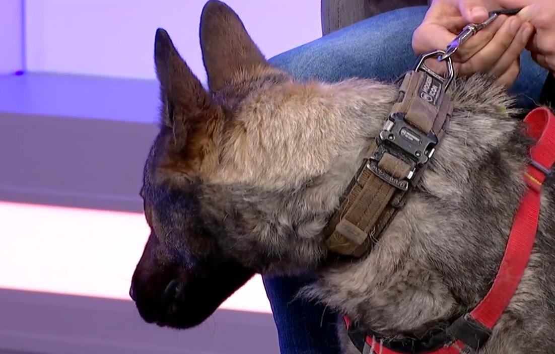 Screenshot 2025-03-04 175639.png