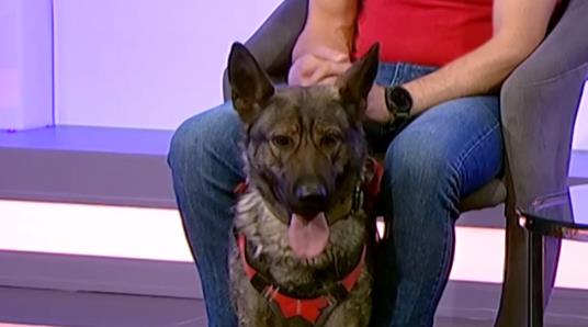 Screenshot 2025-03-04 175716.png