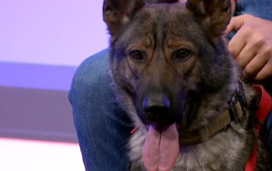 Screenshot 2025-03-04 175730.png