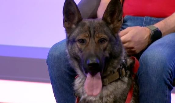 Screenshot 2025-03-04 175741.png