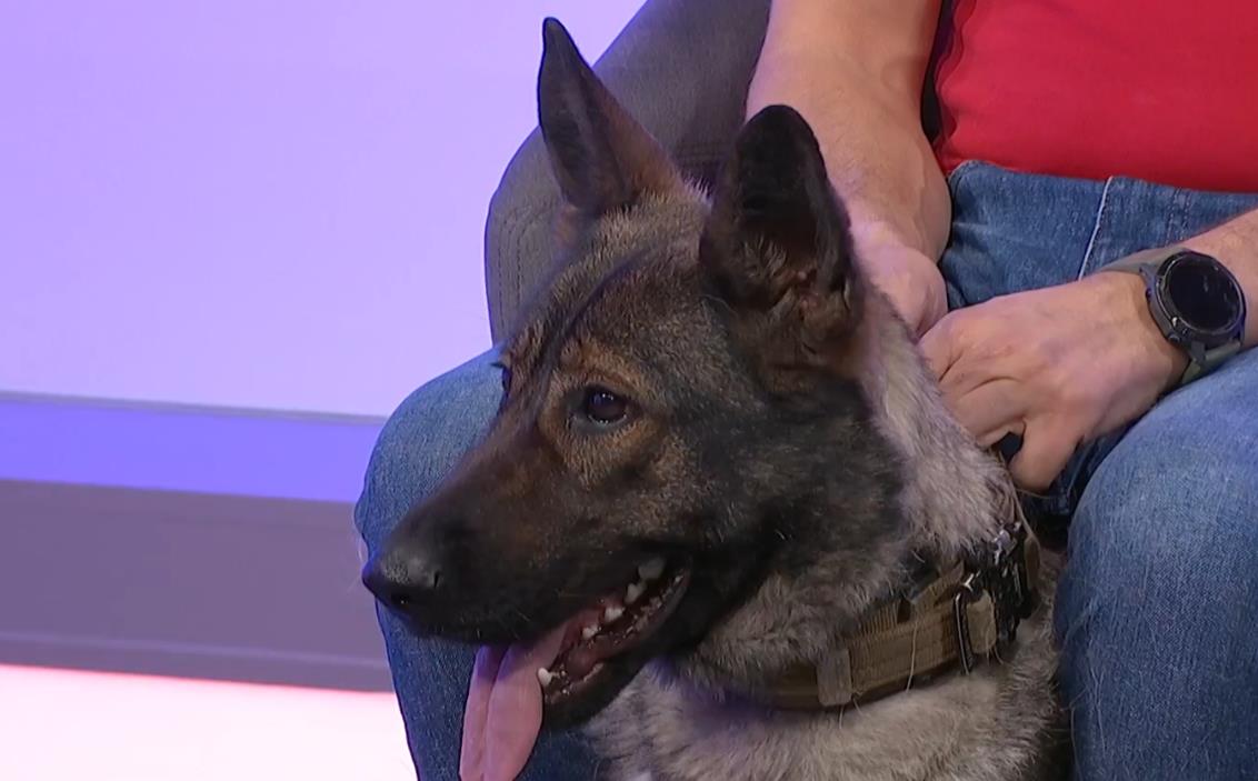 Screenshot 2025-03-04 175956.png