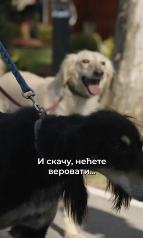 Screenshot 2025-03-04 224743.png