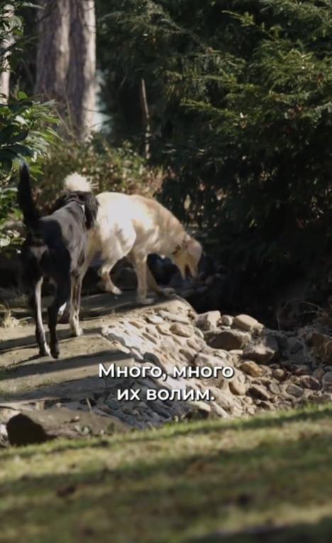 Screenshot 2025-03-04 224811.png