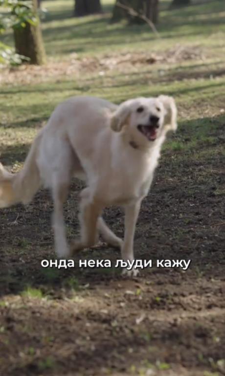 Screenshot 2025-03-04 224902.png