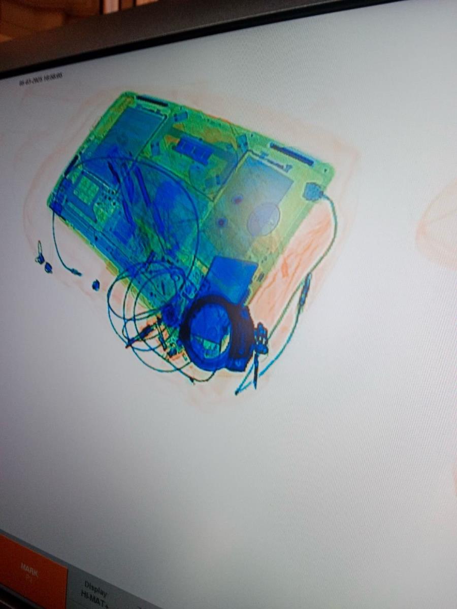 skener lisice Jelena Jerinić.jpg