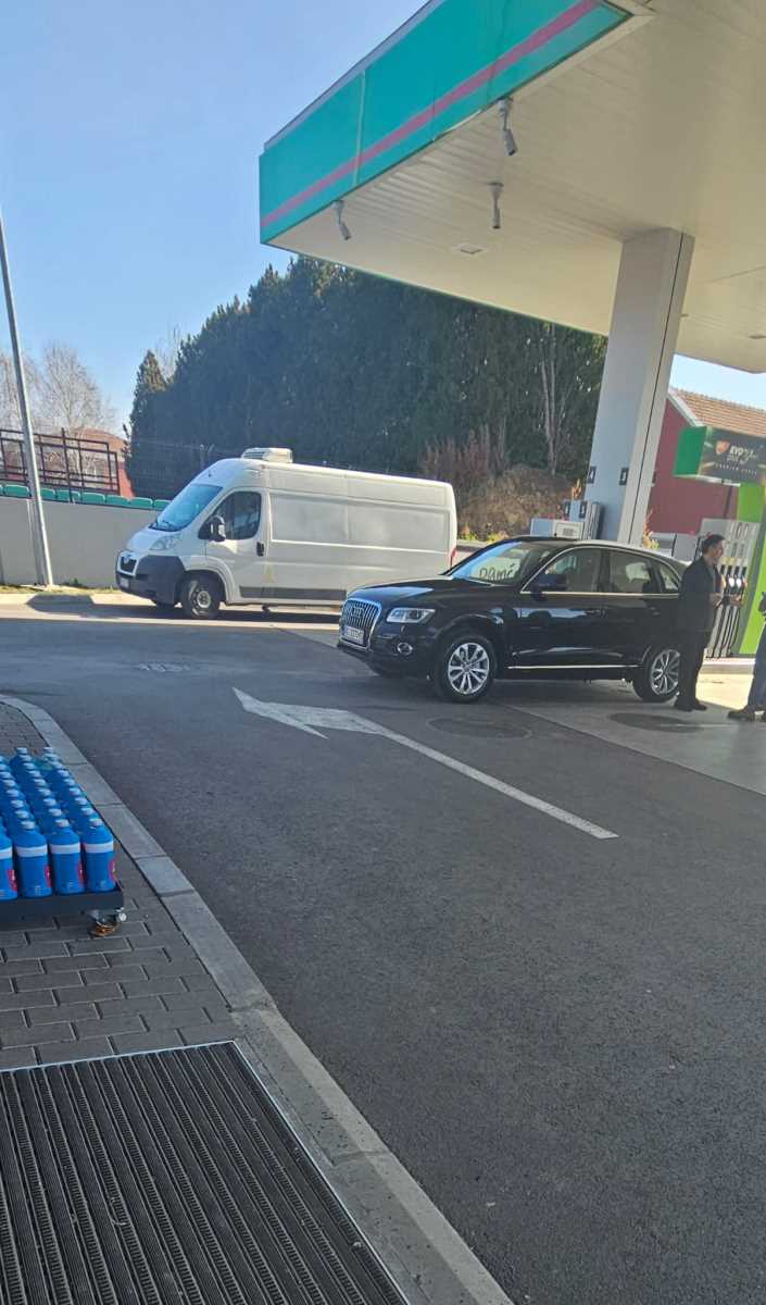 WhatsApp Image 2025-03-05 at 2.16.07 PM (1).jpeg