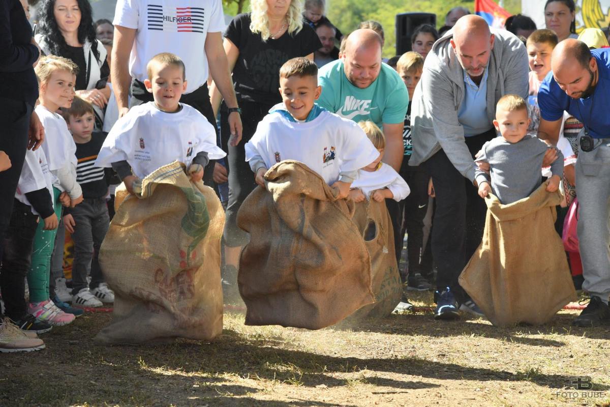 5 - Aleksandar Maksic.jpg