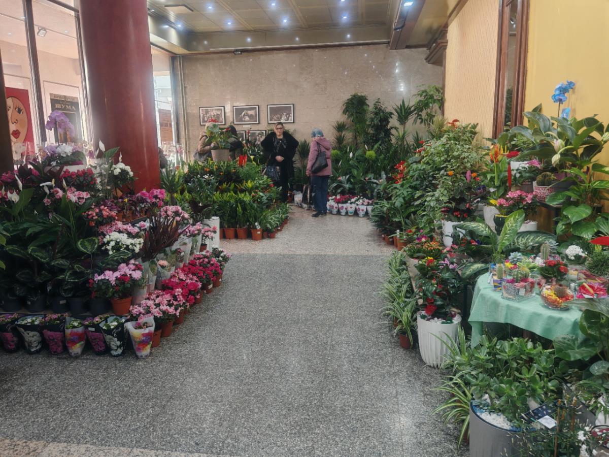 Cveće za 8. mart 5.jpg