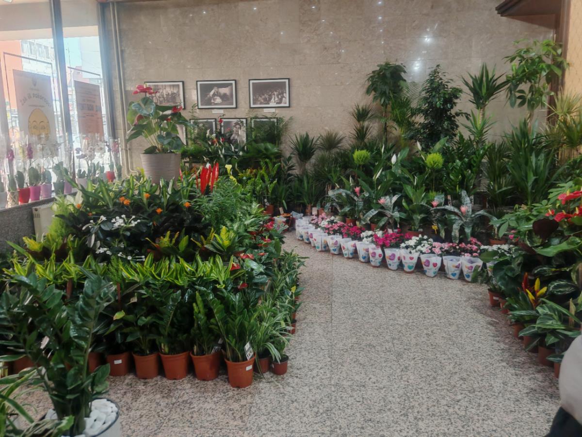 Cveće za 8. mart 4..png