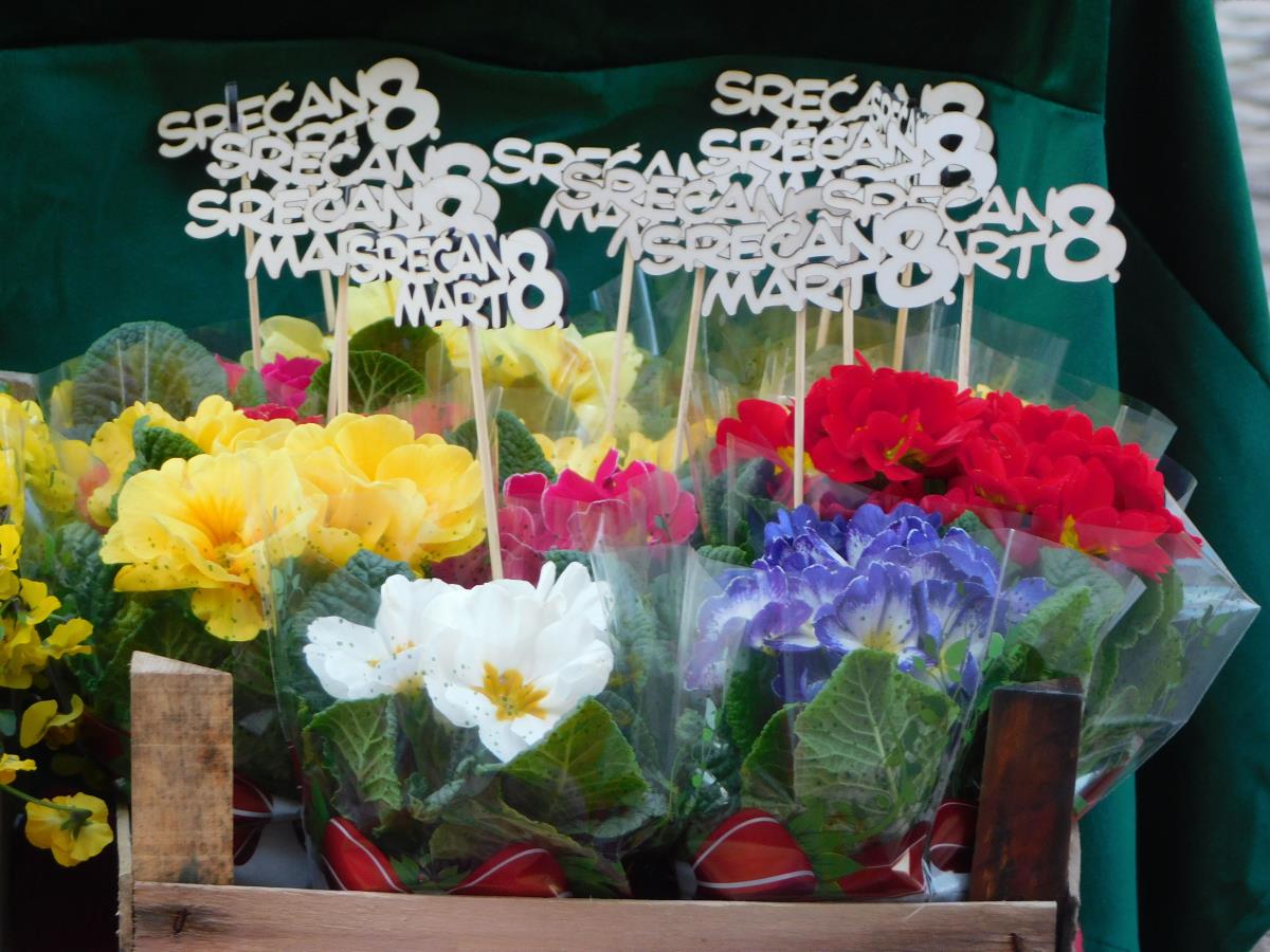 LOZNICA - Za praznik.jpg