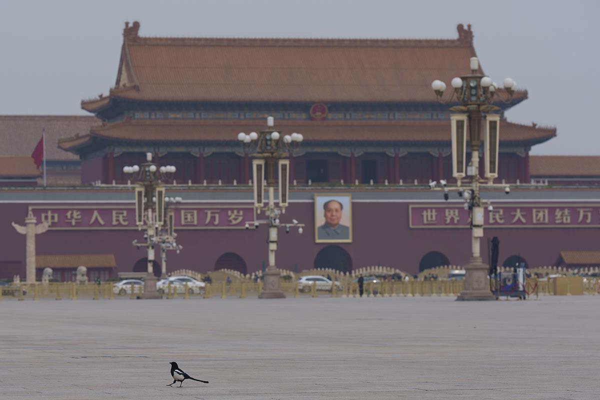 x05 AP Vincent Thian.jpg