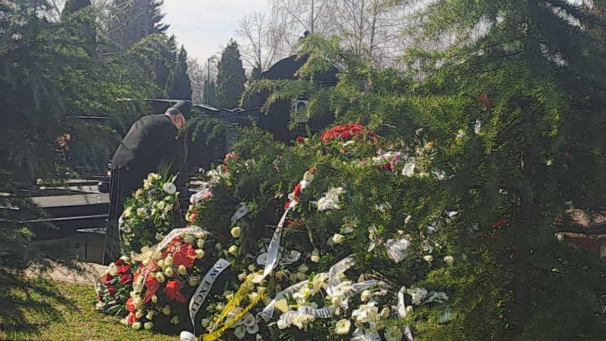 WhatsApp Image 2025-03-07 at 11.58.48_e4c43cea.jpg