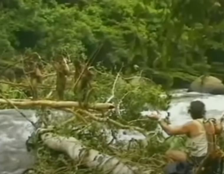 Screenshot 2025-03-07 125447.jpg