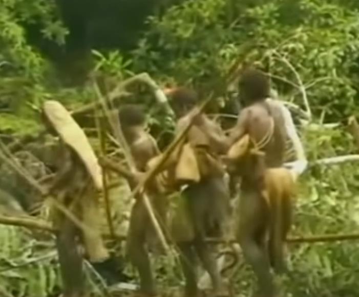 Screenshot 2025-03-07 125519.png