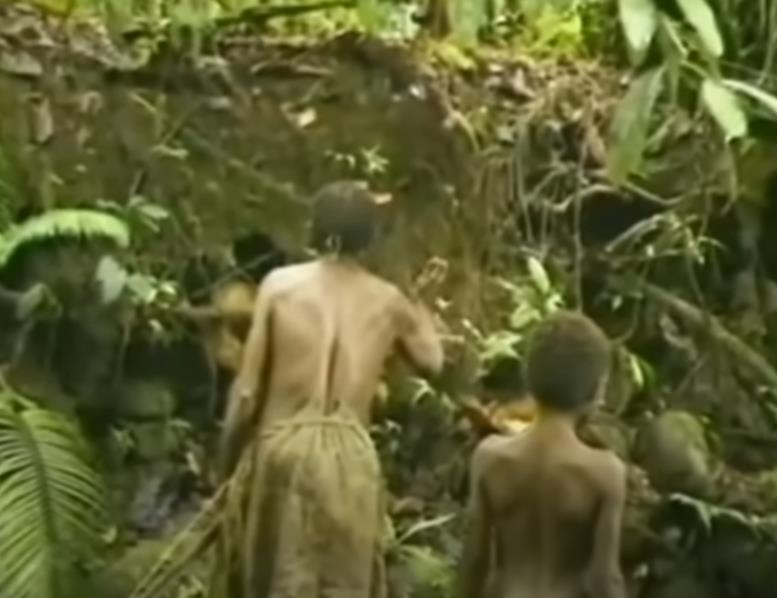 Screenshot 2025-03-07 125817.png