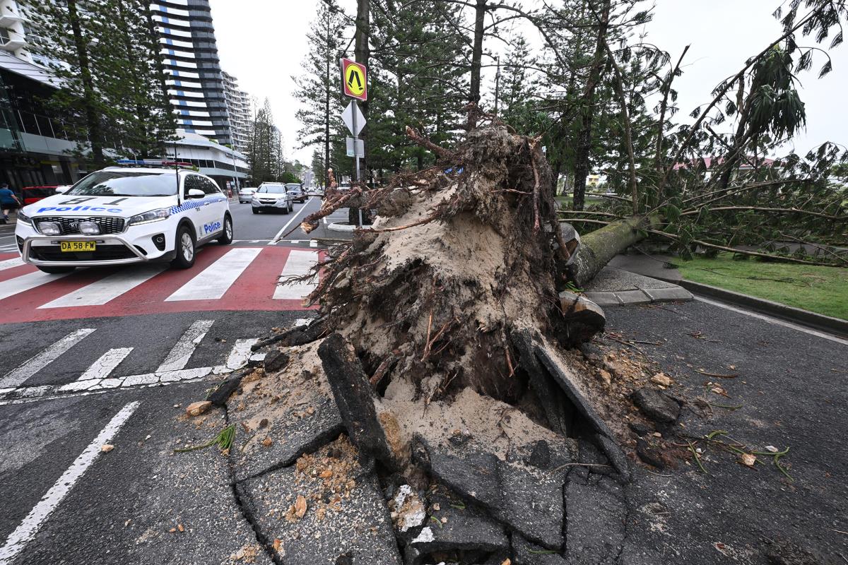 austrlia02 EPA Dave Hunt.jpg