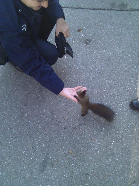 policajac-i-veverica.jpg