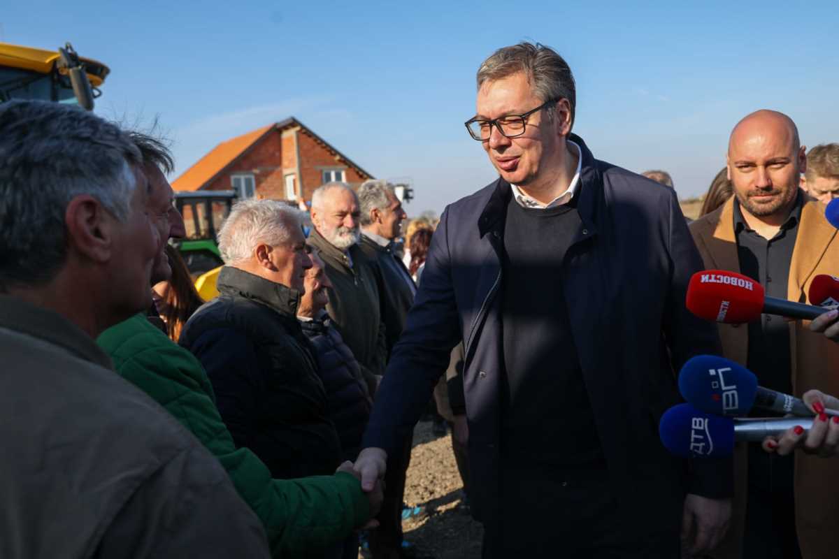 WhatsApp Image 2025-03-08 at 08.45.09_f4a9b544.jpg