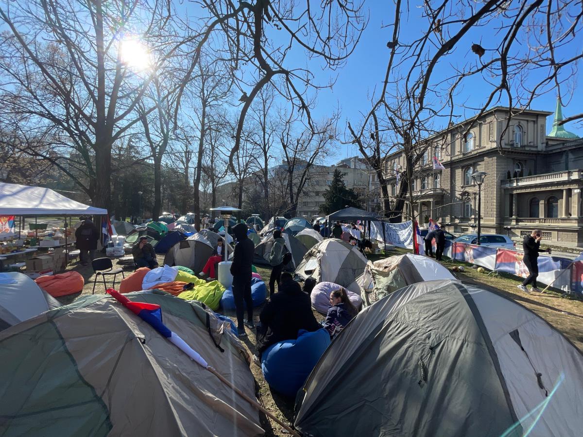 WhatsApp Image 2025-03-08 at 09.16.40_2dc7de56.jpg