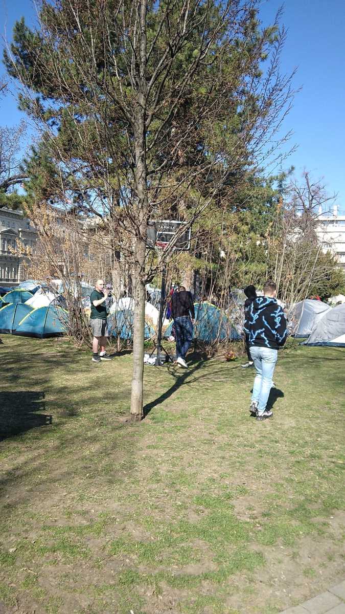 WhatsApp Image 2025-03-08 at 10.23.29_45ef2801.jpg