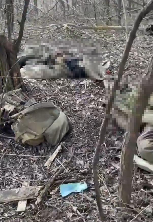 Screenshot 2025-03-08 130336 copy 2.png