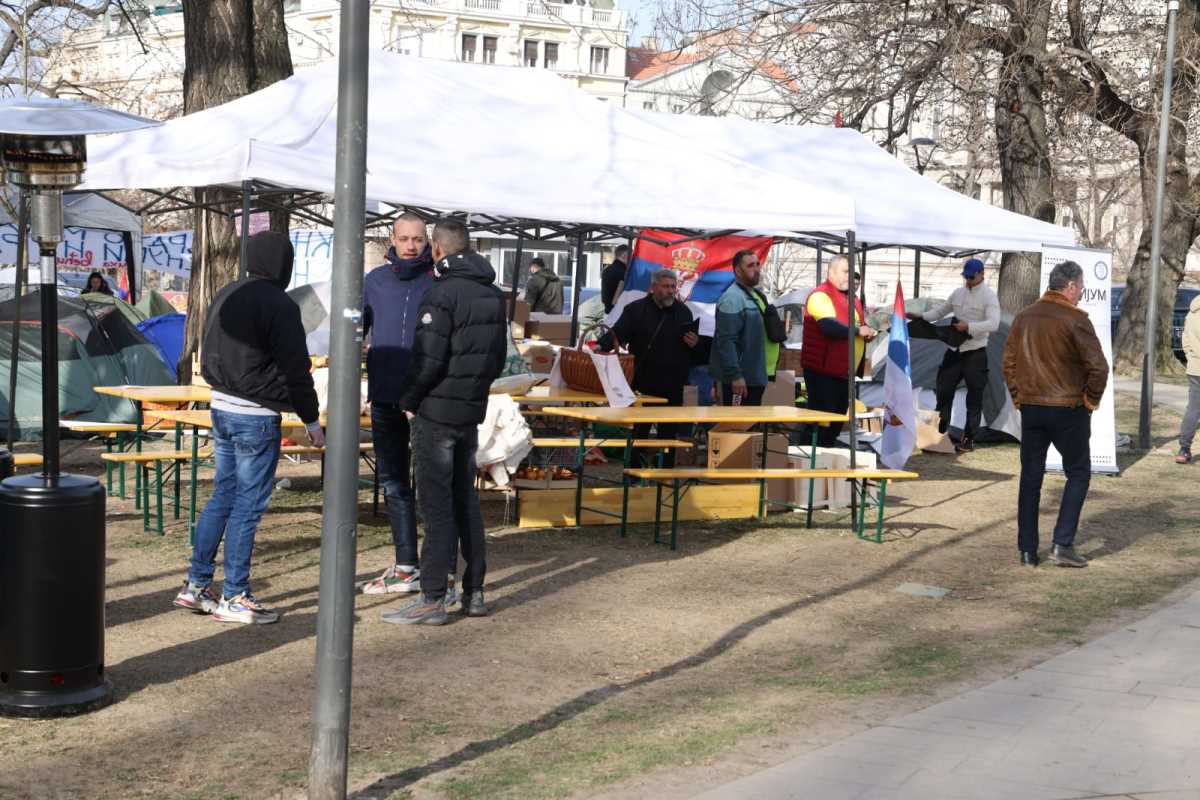 WhatsApp Image 2025-03-09 at 08.28.35_983f4bff.jpg