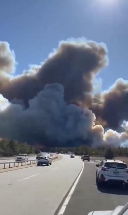 Screenshot 2025-03-09 111519.png