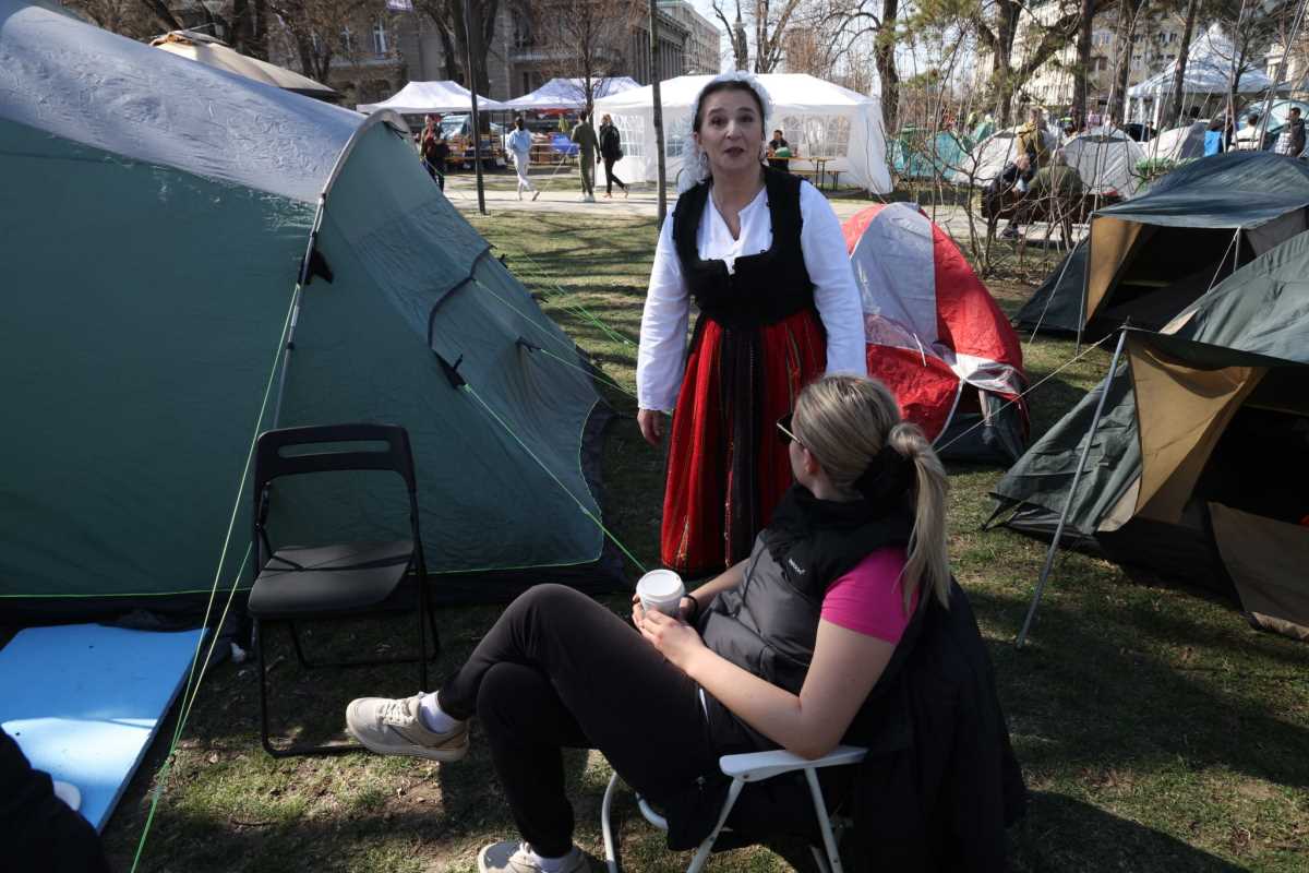 WhatsApp Image 2025-03-09 at 11.25.44_b0c650b0.jpg