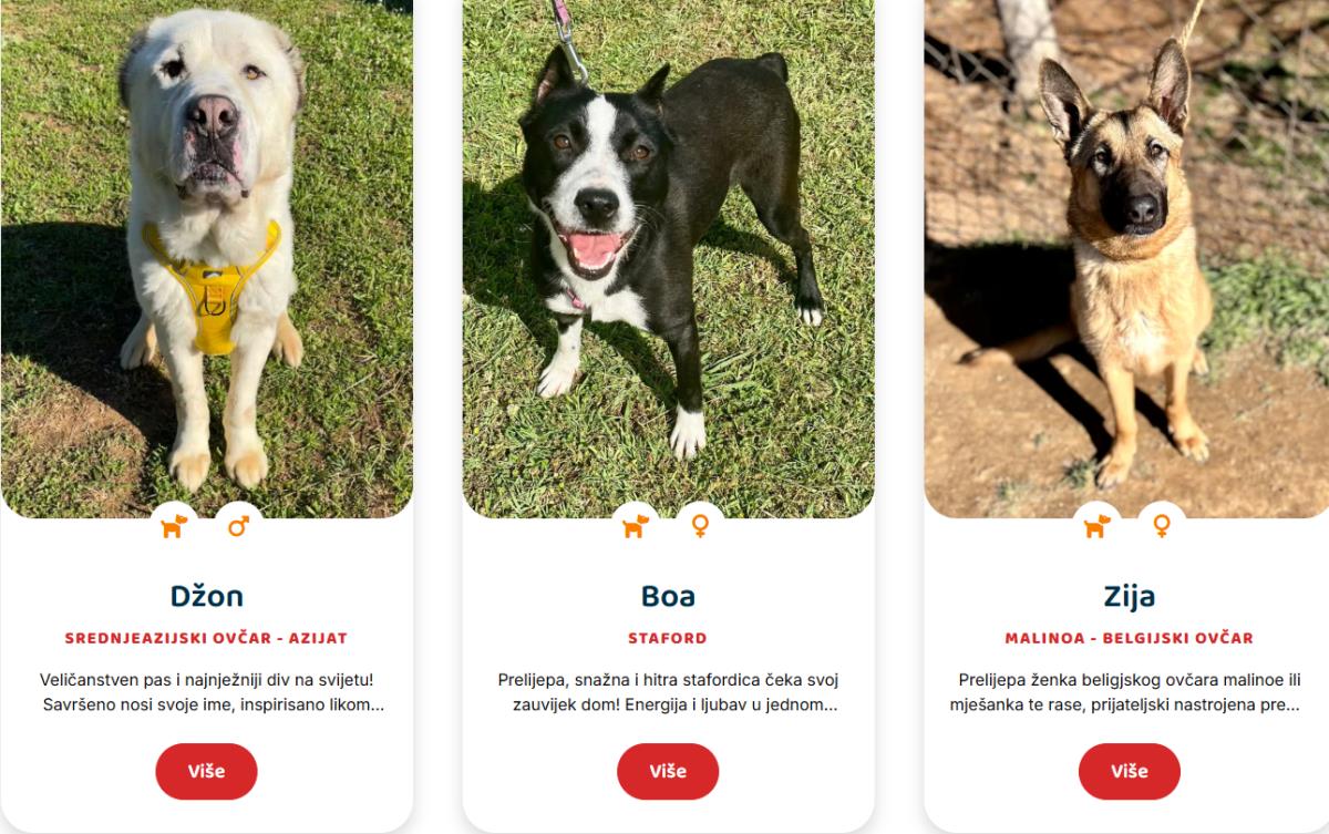 Screenshot 2025-03-09 181926.png