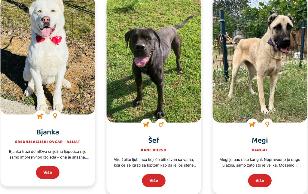 Screenshot 2025-03-09 181919.jpg