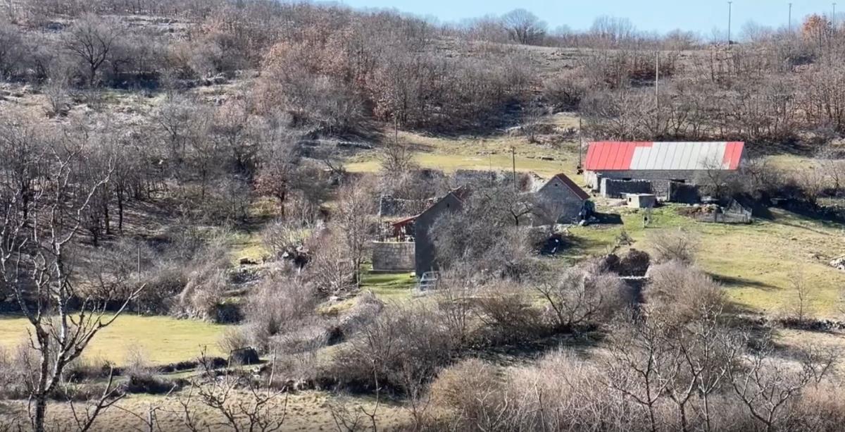 Screenshot 2025-03-09 202814.png