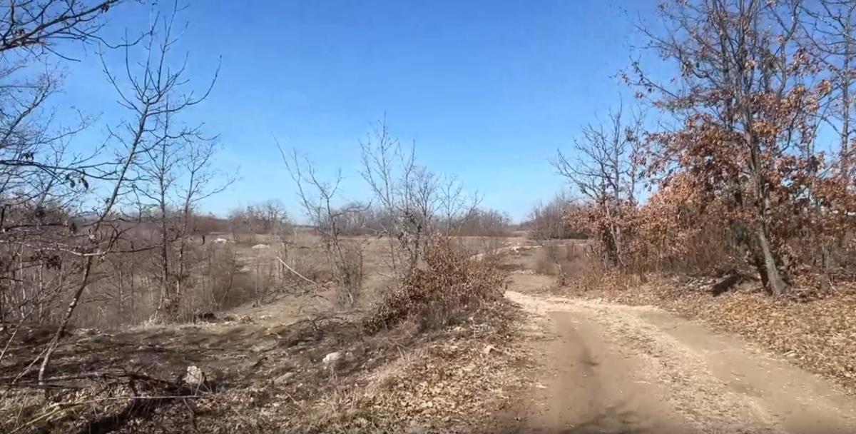 Screenshot 2025-03-09 202806.png