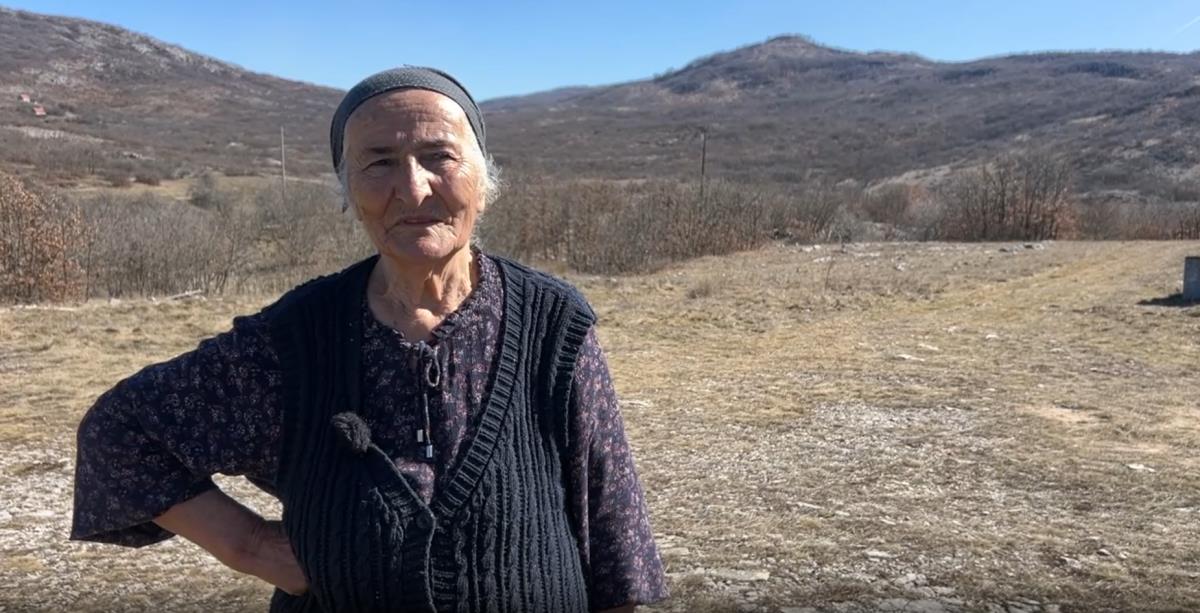 Screenshot 2025-03-09 202756.png