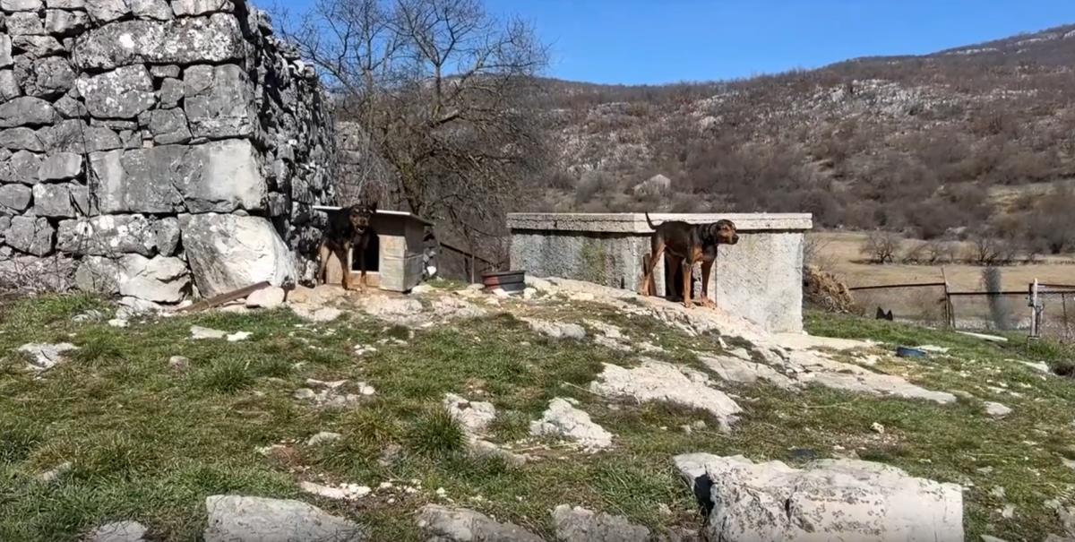 Screenshot 2025-03-09 202749.png