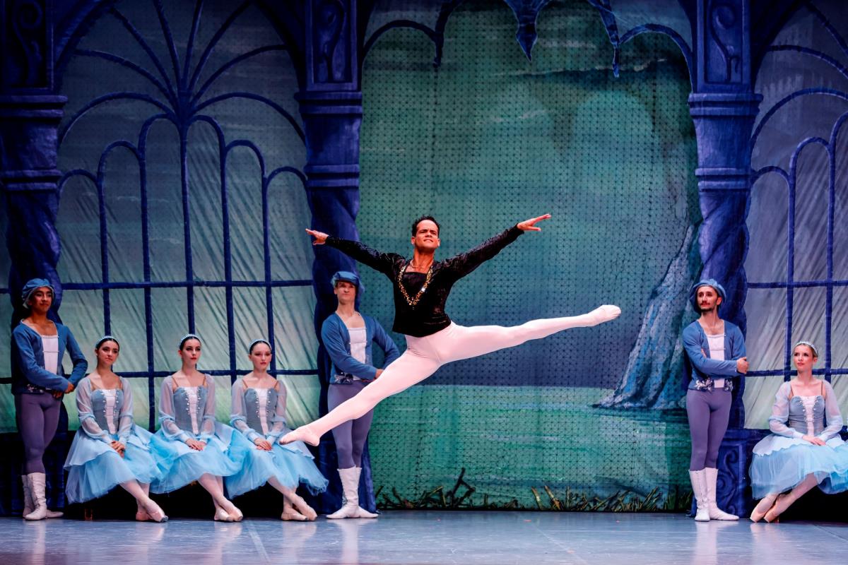 Labudovo jezero-foto Milena Đorđević (7).JPG