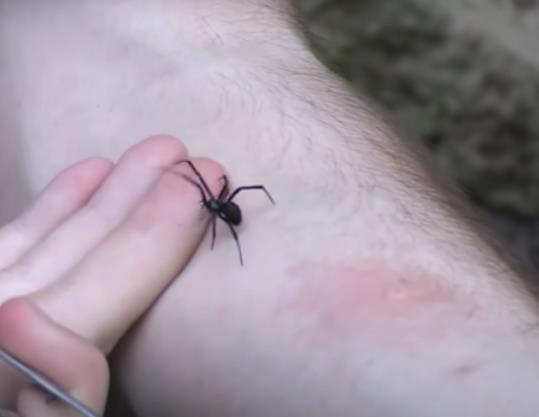 Screenshot 2025-03-10 143809.png