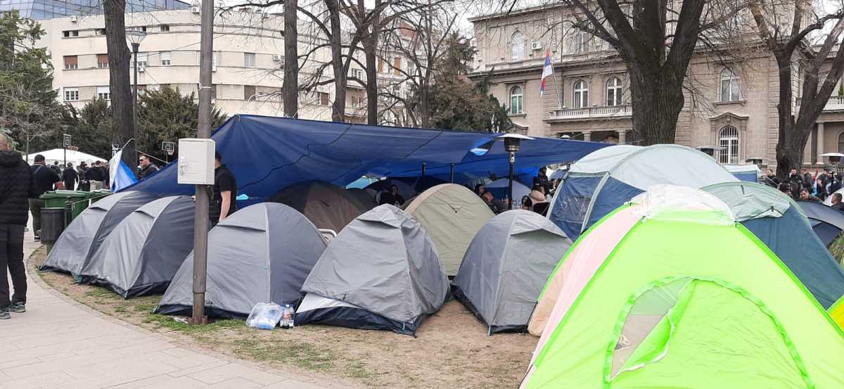 WhatsApp Image 2025-03-10 at 15.25.53_35ab4d97.jpg