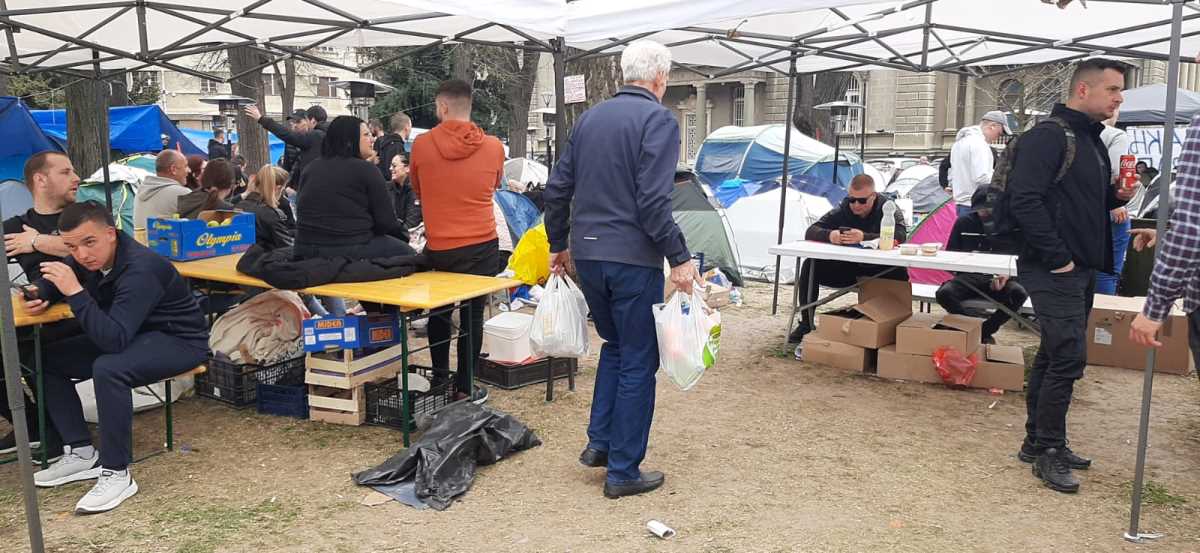 WhatsApp Image 2025-03-10 at 15.10.33_84886f88.jpg