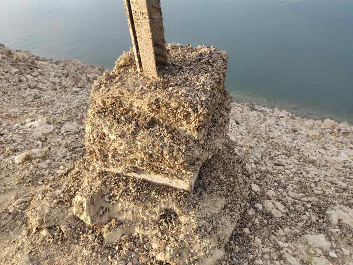 Zaovine - jezero - mart 2025 (15).jpg